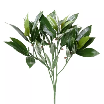 branche LAURIER nobilis artificielle plast 50 cm