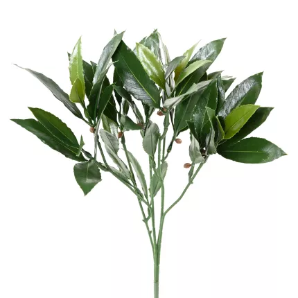 branche LAURIER nobilis artificielle plast 50 cm