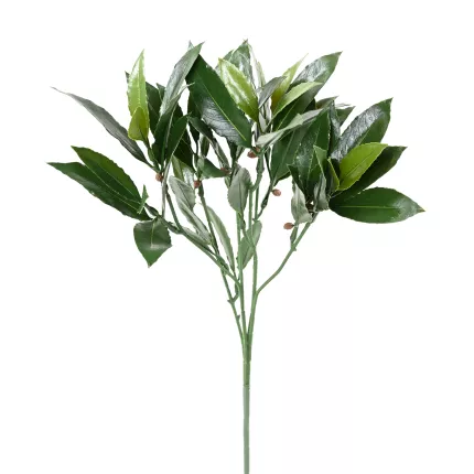 branche LAURIER nobilis artificielle plast 50 cm entier