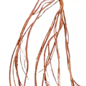 détail liane artificielle multi 180 cm