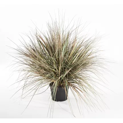 ONION GRASS artificiel AUTOMNE 70 cm