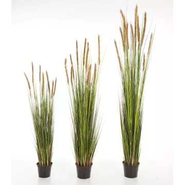 GRANDES HERBES artificielles plumeau brun  120 à 180 cm