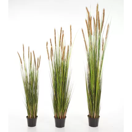GRANDES HERBES artificielles plumeau brun  120 à 180 cm