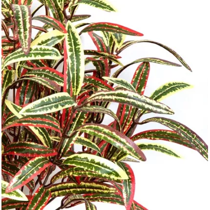 SPIDER artificiel panaché 40 cm