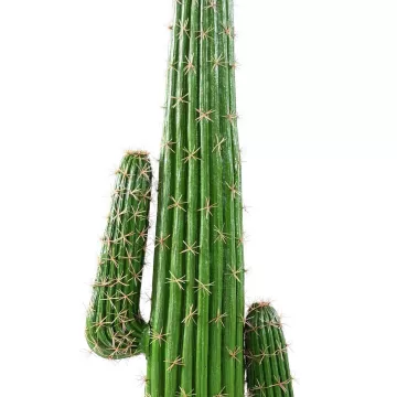 épines CACTUS artificiel MEXICO 140 cm