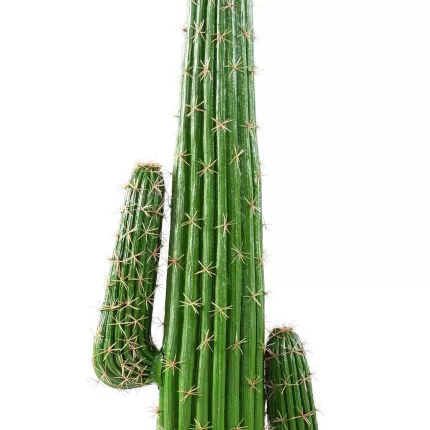 épines CACTUS artificiel MEXICO 140 cm