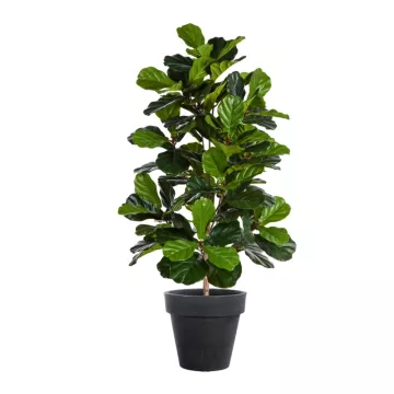 LYRATA artificiel (figuier)  210 cm en pot