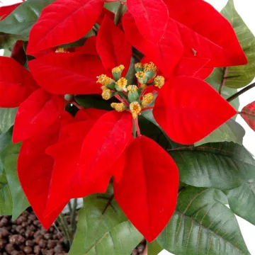 fleurs POINSETTIA artificiel (Etoile de Noël) 42 cm rouge