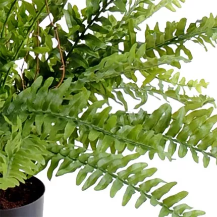 feuilles FOUGERE artificielle boston fine diam 60 cm en pot