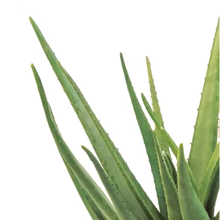 feuilles ALOEVERA artificiel 60 et 70 cm sur pic
