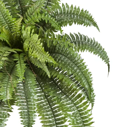 feuilles FOUGERE artificielle boston diam 90 cm