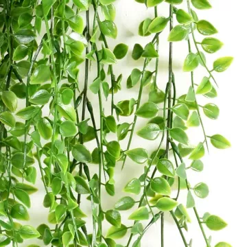 feuilles CALLISIA  plastique 80 cm