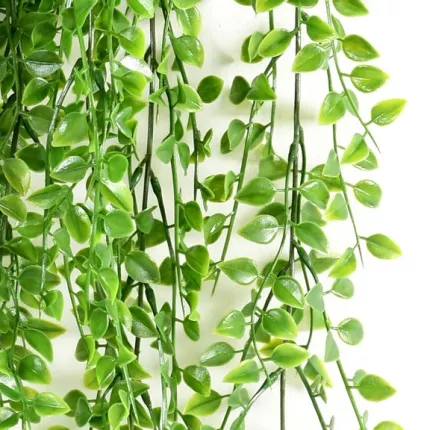 feuilles CALLISIA  plastique 80 cm