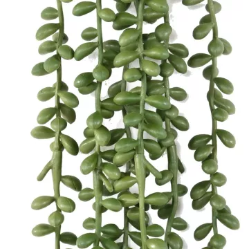 feuilles CRASSULA KLEINIA artificiel (collier de perle) 60 cm