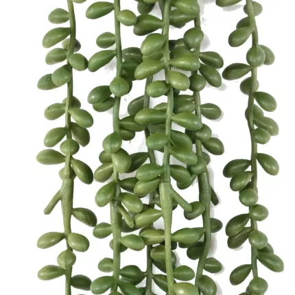 feuilles CRASSULA KLEINIA artificiel (collier de perle) 60 cm