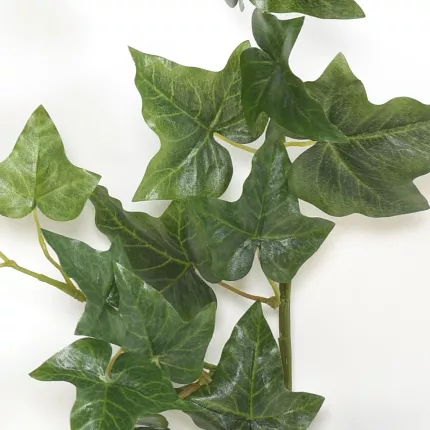 feuilles guirlande LIERRE ANGLAIS artificielle 180 cm