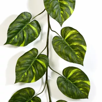 feuilles guirlande POTHOS GEANT artificielle 230 cm