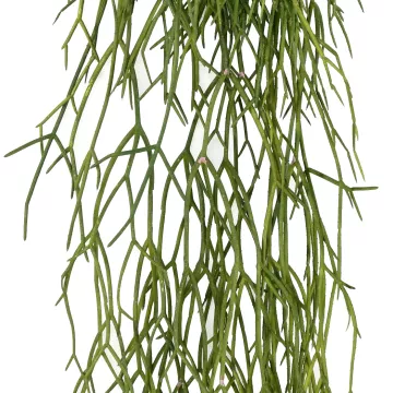 feuilles RHIPSALIS artificiel plastique 50 cm