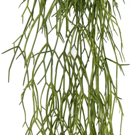 feuilles RHIPSALIS artificiel plastique 50 cm