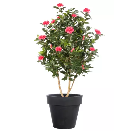 CAMELIA artificiel JAPONICA large 150 cm rose en pot