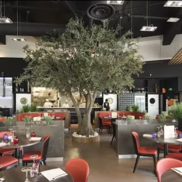OLIVIER artificiel NEW TREE 430 cm dans un restaurant