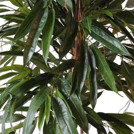 feuilles FICUS artificiel ALII bush royal 160 et 190 cm