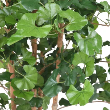 feuilles GINKGOBILOBA artificiel racine 180 cm