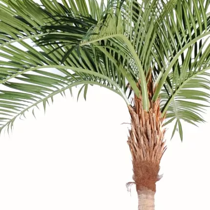 feuillage PALMIER artificiel Coconut courbe new 270 à 700 cm