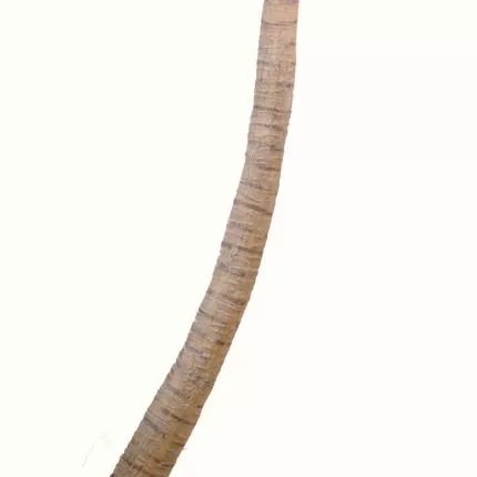 tronc PALMIER artificiel Coconut courbe new 270 à 700 cm