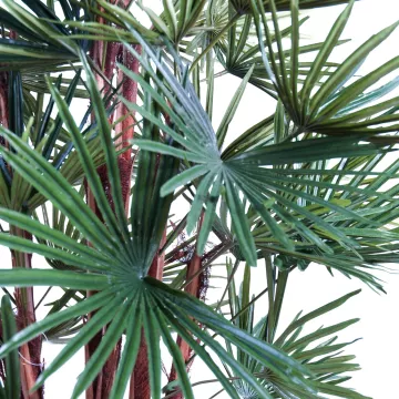 feuilles LIVISTONIA artificiel  110 cm