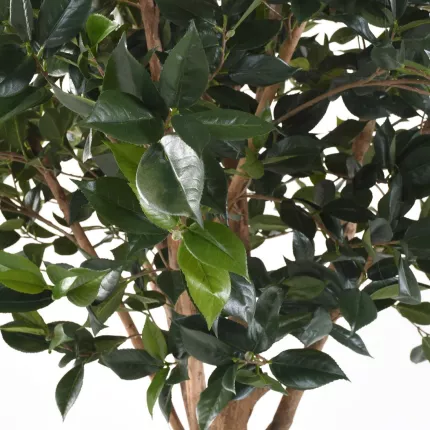 feuilles Fruitier artificiel  270 cm