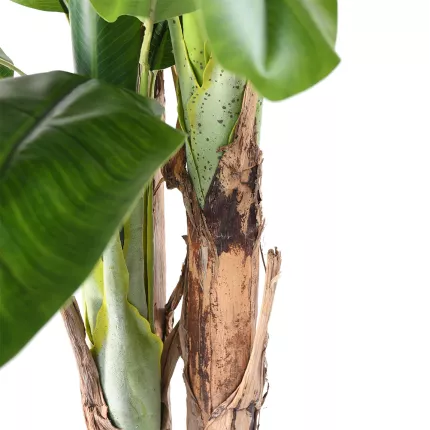 tronc BANANIER artificiel 3 troncs 240 cm