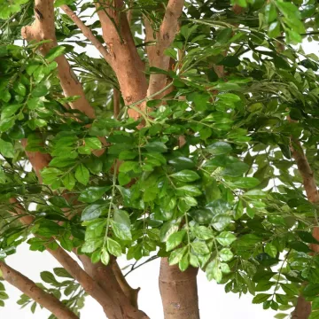 feuilles BUCIDA artificiel 360 cm