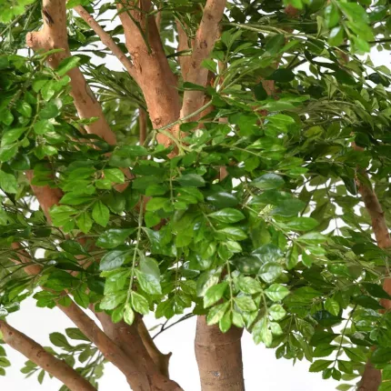 feuilles BUCIDA artificiel 360 cm