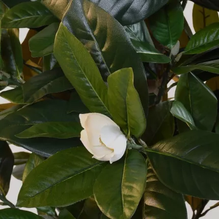 fleurs MAGNOLIA artificiel fleuri 180 cm