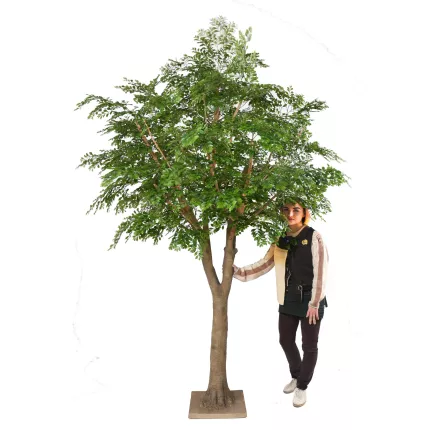 hauteur sous feuillage BUCIDA artificiel 300 cm