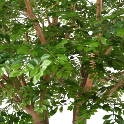 feuilles BUCIDA artificiel 300 cm