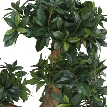 feuilles BONSAI artificiel ficus japonais 75 cm