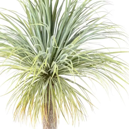 feuilles YUCCA artificiel géant 240 cm