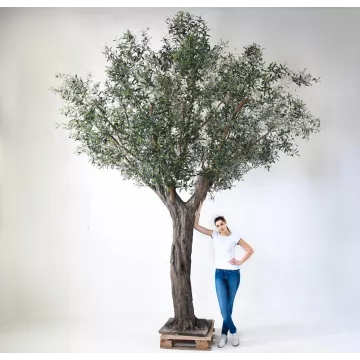hauteur sous feuille OLIVIER artificiel arbre 380 cm