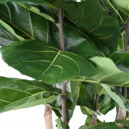 feuilles LYRATA artificiel 210 cm multitroncs (figuier artificiel)
