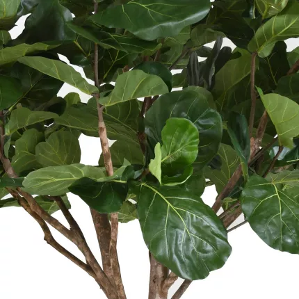 feuilles LYRATA artificiel 340 cm (figuier artificiel)