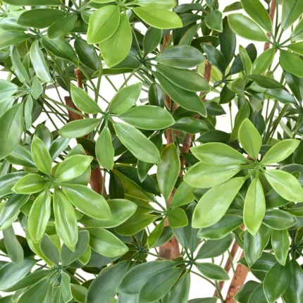 feuilles ORANGER DU MEXIQUE artificiel 150 et 180 cm uv