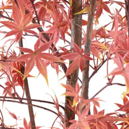 feuilles ERABLE artificiel plast (Aralia)   vert rouge