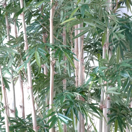 feuillage et canne BAMBOU artificiel  NEW GEANT LUXE 25 cannes 400 et 700 cm