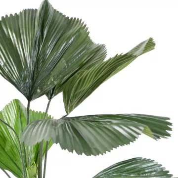 feuilles LICUALA GRANDIS artificiel  120 cm