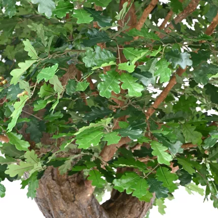 feuilles CHENE  artificiel N 370 cm