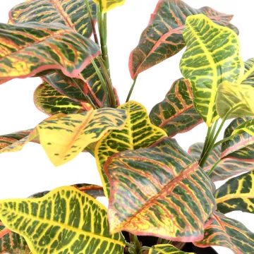 feuilles CROTON artificiel 70 cm