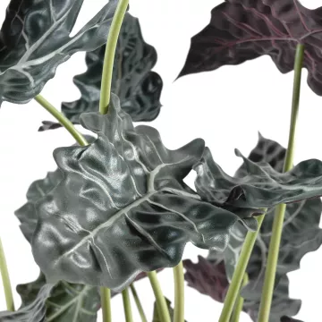 feuilles Alocasia artificiel Sanderiana 110 cm