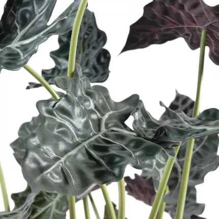 feuilles Alocasia artificiel Sanderiana 110 cm